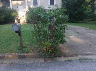 Bush Trimming by Joshua Walker for Shonna W. in Decatur, GA
