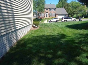 Travors I.'s Lawn Service service result