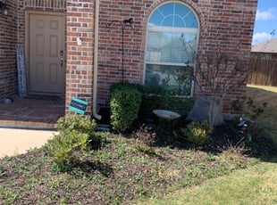 Bush Trimming by Samuel Fogg for Bel S. in Denton, TX