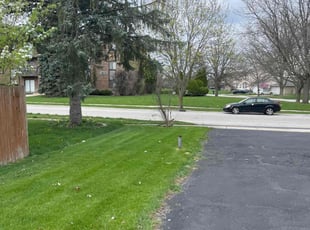 Ryan H.'s Lawn Mowing service result