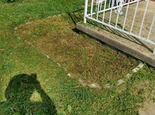 Cleanups by Bernard Frampton for Jennifer S. in Dundalk, MD
