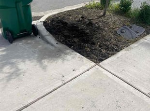 Cleanups by Jeff Templeton for Jessica S. in Houston, TX