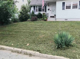 Monicole B.'s Lawn Service service result
