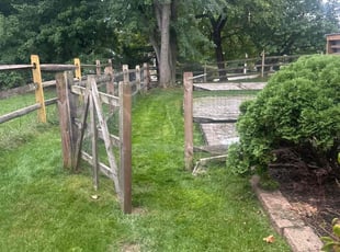 Candice R.'s Lawn Mowing Service service result