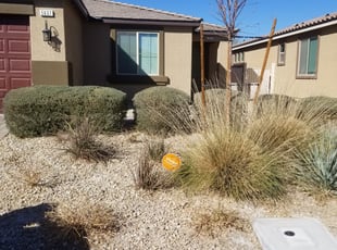 Bush Trimming by Leland Floyd for Matthew W. in North Las Vegas, NV