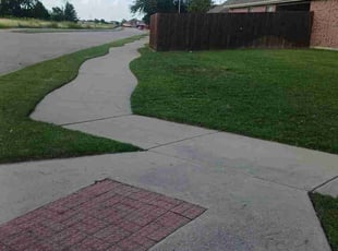 Renata S.'s Lawn Service service result