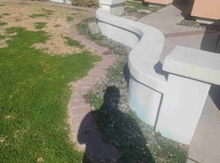 Weeding by Raul Blanco for Iggy K. in Chandler, AZ