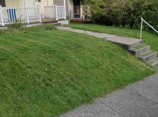 Harold F.'s Lawn Care service result