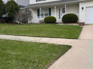 Eric L.'s Grass Cutting service result