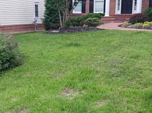 Weeding by Manny Chavez for Mike M. in Woodbridge, VA