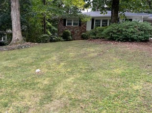 Weeding by Jomari Collie for Molly M. in Tucker, GA
