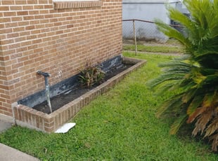 Weeding by Jamal Foster for Sydney B. in New Orleans, LA