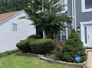 Bush Trimming by Clay Nurse for Dyimond A. in Marietta, GA