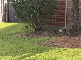 Bush Trimming by Mario Sanchez for Robert D. in Rosharon, TX