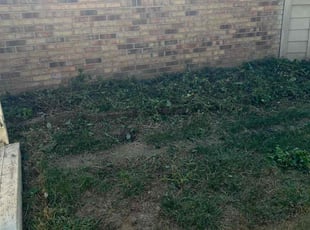 Cleanups by Eric Hubbard for Stewart W. in Indianapolis, IN