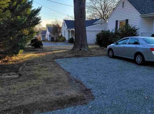 Leaf Removal by Mike Williams for Alexandra M. in Richmond, VA