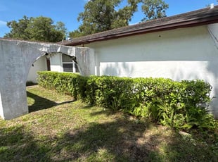 Bush Trimming by Jacob Thompson for Curt C. in Pinellas Park, FL