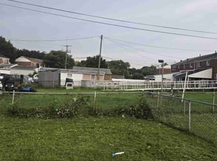 Bush Trimming by Andre Ruffin for Tracie D. in Essex, MD