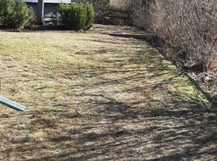 Leaf Removal by John Bledsoe for Tony B. in Centennial, CO