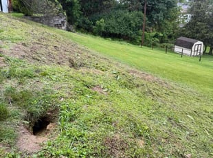 Cleanups by Ryan Sacks for Justin J. in Reading, PA