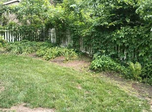 Weeding by Lamonee Jackman for Katie W. in Omaha, NE
