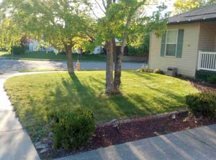 Amber E.'s Lawn Care service result