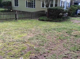 Cleanups by Jay T for Randy S. in Akron, OH