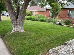 Lois G.'s Lawn Service service result