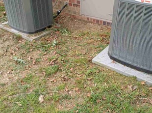 Leaf Removal by Steven Price for Laken E. in Chester, VA