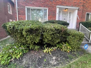 Bush Trimming by Edgar Elmore for Kimberly S. in Washington, DC