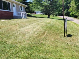 Kendall J.'s Lawn Mowing service result