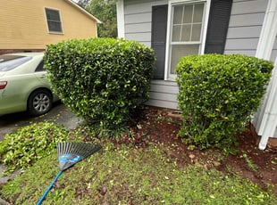 Bush Trimming by Stephen Mathis for Caroline P. in Columbia, SC