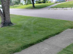 Robert T.'s Grass Cutting service result