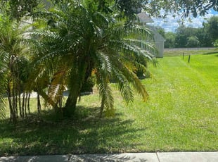 Minawattie J.'s Lawn Maintenance service result