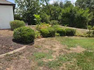 Leaf Removal by Tommie Cole for Mo M. in Argyle, TX