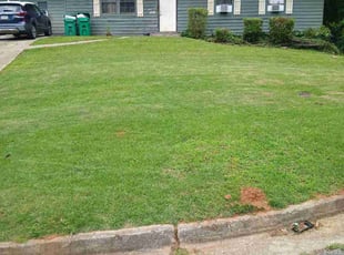 Bush Trimming by Joshua Walker for Tawanda J. in Lithonia, GA