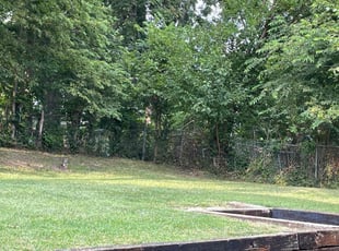 Trevor M.'s Lawn Mowing service result
