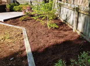 Cleanups by Chris Thomas for Koni P. in Midlothian, VA