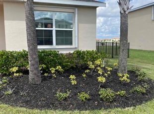 Weeding by Daniel Dorney for Scott L. in Port St. Lucie, FL