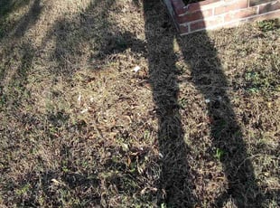 Cleanups by Logan Lindblad for Bryon F. in Oklahoma City, OK