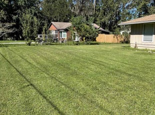 Donna H.'s Grass Cutting service result
