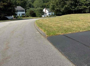 Bush Trimming by Nelisson Da Silva Alves for Prabu G. in Westborough, MA