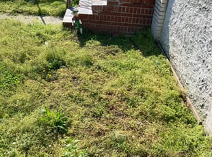 Cleanups by Samuel Jordon for Milia B. in Baltimore, MD