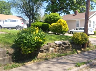 Bush Trimming by Rodney Wynn for Tara J. in New Albany, IN