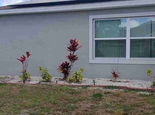 Weeding by Alfredo Mendoza Rangel for Alizé C. in Kissimmee, FL