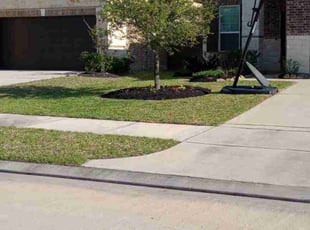 Naara T.'s Grass Cutting service result