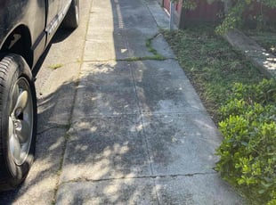 Leaf Removal by Luis Enrique Rafael chavez for Chris W. in San Jose, CA