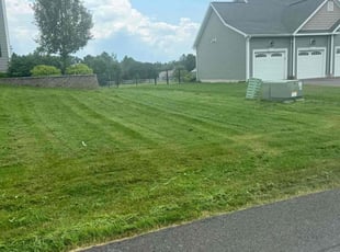 Therese N.'s Lawn Mowing service result