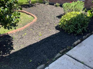 Weeding by Serafin Almanza for Victor W. in Tomball, TX