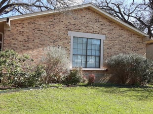 Bush Trimming by Ethan Tribiana for Georgianne H. in Georgetown, TX